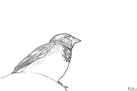 sparrows Paġni Tal-kulur Li Jistgħu Jiġu Stampati